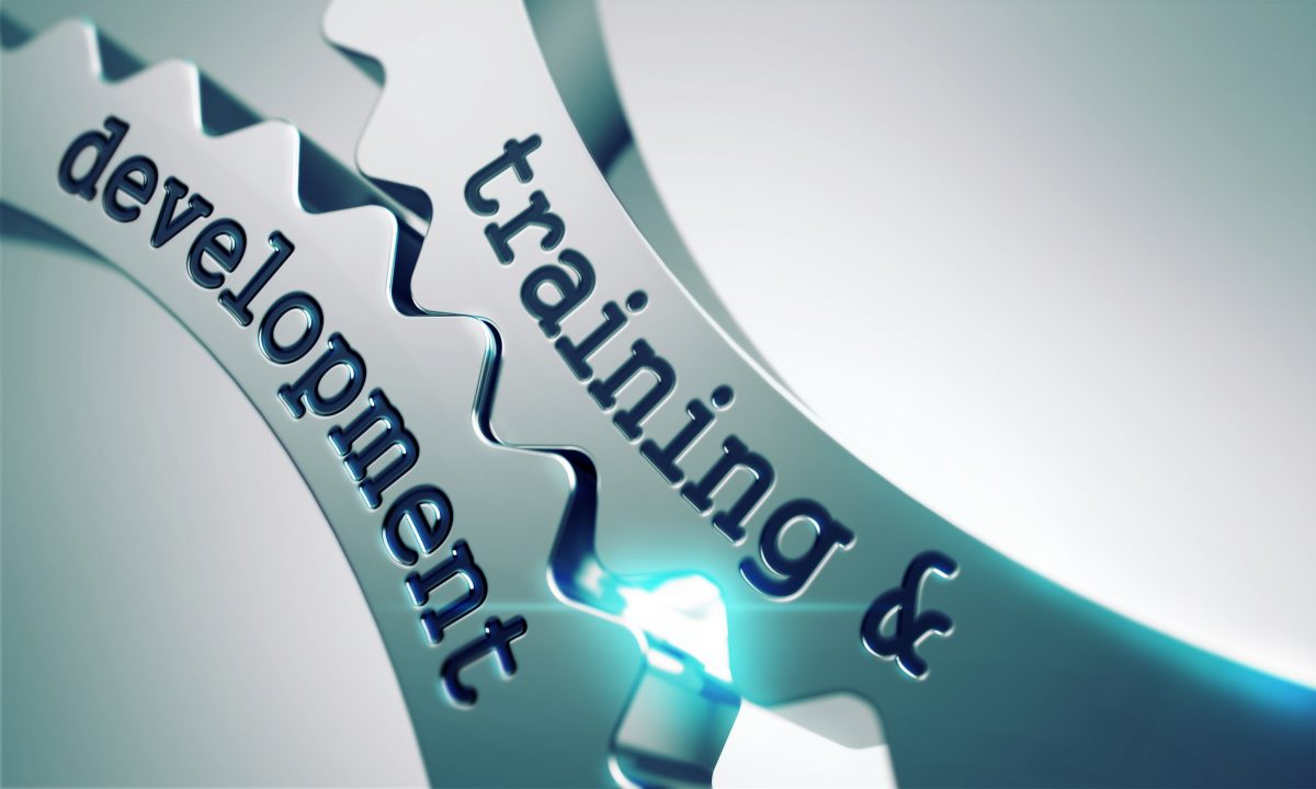 Customized Training in Carroll County
